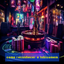 como reconhecer o lobisomem